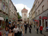 photo.php?category_id=139&file_id=1974&fileBackPage=1&filesPage=1