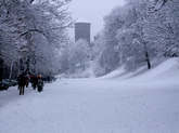 photo.php?category_id=161&file_id=2587&fileBackPage=1&filesPage=4