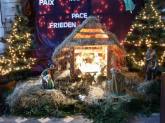 photo.php?category_id=173&file_id=2855&fileBackPage=1&filesPage=2