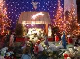 photo.php?category_id=173&file_id=2862&fileBackPage=1&filesPage=9
