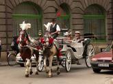 photo.php?category_id=177&file_id=2943&fileBackPage=1&filesPage=21