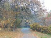 photo.php?category_id=185&file_id=3217&fileBackPage=1&filesPage=1