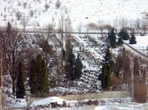 photo.php?category_id=199&file_id=3667&fileBackPage=1&filesPage=7