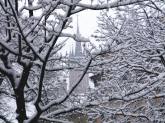 photo.php?category_id=206&file_id=3845&fileBackPage=1&filesPage=1