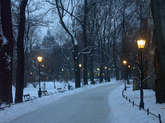 photo.php?category_id=265&file_id=5452&fileBackPage=1&filesPage=31