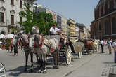 photo.php?category_id=279&file_id=5795&fileBackPage=1&filesPage=7