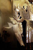 photo.php?category_id=302&file_id=6424&fileBackPage=1&filesPage=17
