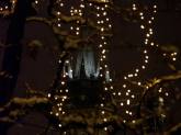 photo.php?category_id=310&file_id=6727&fileBackPage=1&filesPage=39