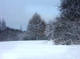 photo.php?category_id=323&file_id=7166&fileBackPage=1&filesPage=15