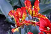 photo.php?category_id=350&file_id=7810&fileBackPage=1&filesPage=3
