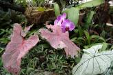 photo.php?category_id=350&file_id=7823&fileBackPage=1&filesPage=16