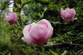 photo.php?category_id=350&file_id=7848&fileBackPage=1&filesPage=41