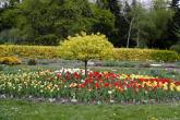 photo.php?category_id=350&file_id=7854&fileBackPage=1&filesPage=47