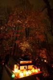 photo.php?category_id=365&file_id=8256&fileBackPage=1&filesPage=3