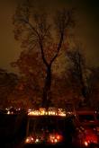 photo.php?category_id=365&file_id=8293&fileBackPage=1&filesPage=40