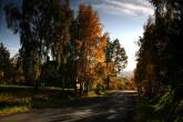 photo.php?category_id=343&file_id=7604&fileBackPage=1&filesPage=6