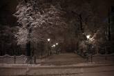 photo.php?category_id=354&file_id=7963&fileBackPage=1&filesPage=8