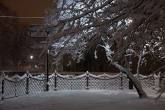 photo.php?category_id=355&file_id=7994&fileBackPage=1&filesPage=14