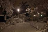 photo.php?category_id=357&file_id=8058&fileBackPage=1&filesPage=22