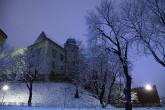 photo.php?category_id=375&file_id=8493&fileBackPage=1&filesPage=8