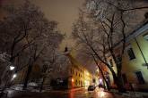 photo.php?category_id=375&file_id=8506&fileBackPage=1&filesPage=21