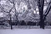 photo.php?category_id=377&file_id=8558&fileBackPage=1&filesPage=22
