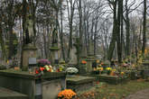photo.php?category_id=391&file_id=8835&fileBackPage=1&filesPage=6