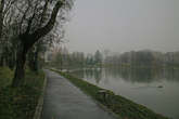 photo.php?category_id=392&file_id=8854&fileBackPage=1&filesPage=6