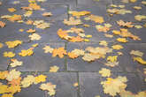 photo.php?category_id=392&file_id=8860&fileBackPage=1&filesPage=12