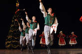 photo.php?category_id=413&file_id=9419&fileBackPage=1&filesPage=3