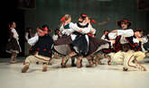 photo.php?category_id=414&file_id=9456&fileBackPage=1&filesPage=16