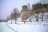 photo.php?category_id=407&file_id=9191&fileBackPage=1&filesPage=3