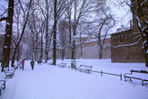 photo.php?category_id=407&file_id=9212&fileBackPage=1&filesPage=24