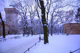 photo.php?category_id=407&file_id=9214&fileBackPage=1&filesPage=26