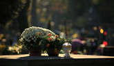 photo.php?category_id=412&file_id=9398&fileBackPage=1&filesPage=2