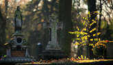 photo.php?category_id=412&file_id=9400&fileBackPage=1&filesPage=4