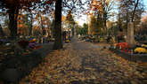 photo.php?category_id=412&file_id=9411&fileBackPage=1&filesPage=15