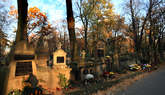 photo.php?category_id=412&file_id=9413&fileBackPage=1&filesPage=17