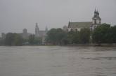 photo.php?category_id=432&file_id=9919&fileBackPage=1&filesPage=1