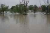 photo.php?category_id=432&file_id=9959&fileBackPage=1&filesPage=41